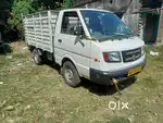 only 7 manth old dost