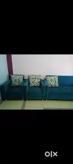 Designed Sofa