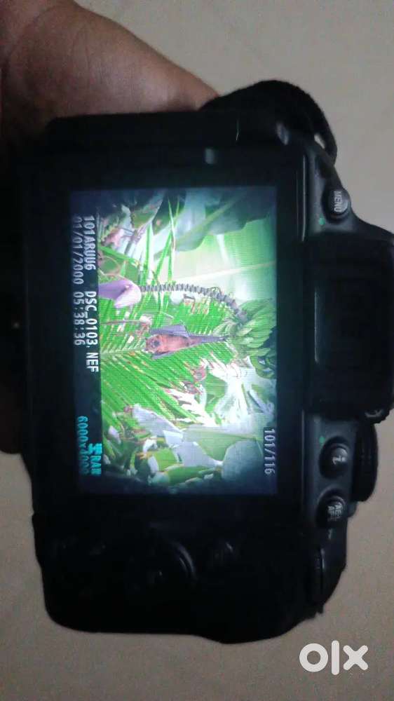 Nikon d5300 with box sale 35mm and zoom lens available