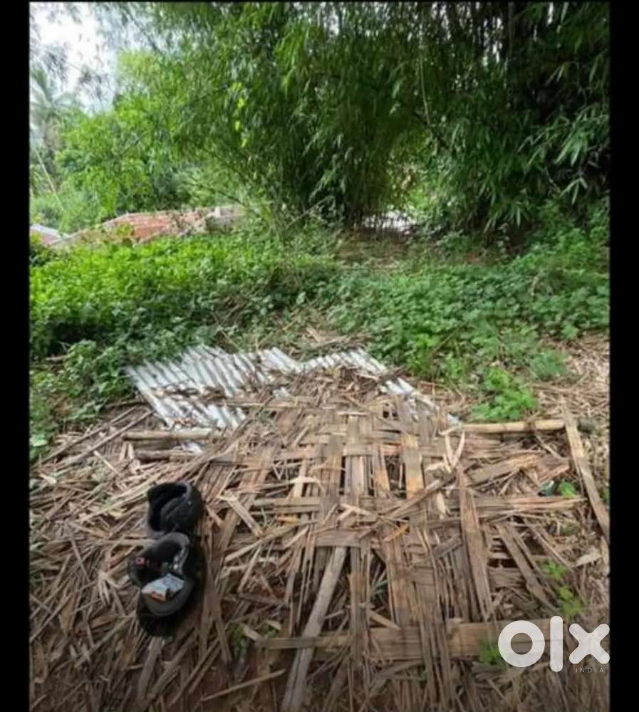 Land For Sale 340000 per Ek Kotha