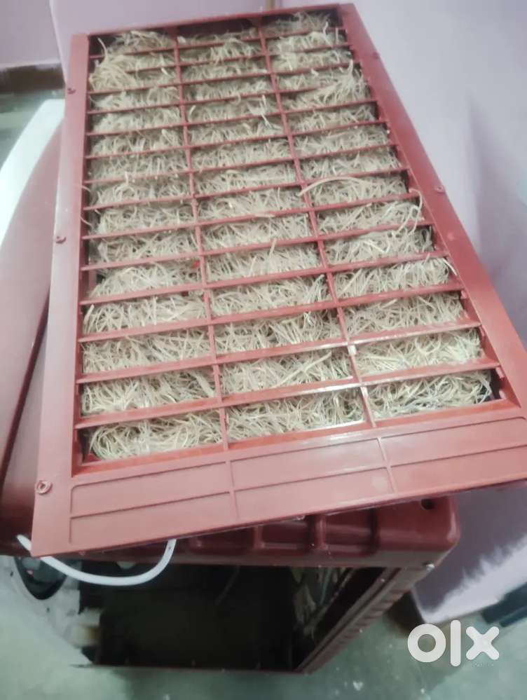 New coller purchase for five months