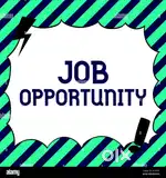 15 FRESHER CANDIDATES APPLY