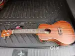 Brand New Guitar