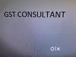 Consultant GST Return