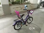 Kids Hero Fairy Cycle (Size 16) for Sale.