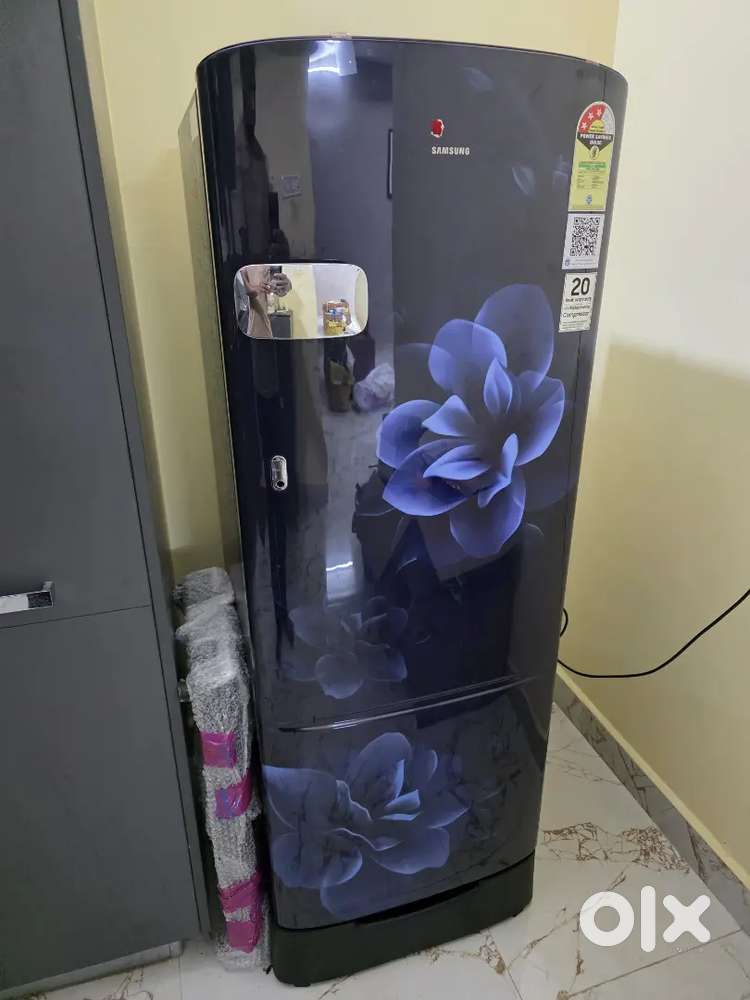 Samsung 223 L, 3 Star, Digital Inverter, Single Door Refrigerator
