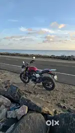triumph scrambler 400x 2024 model