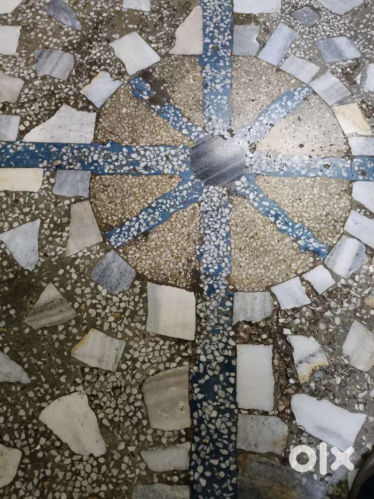 Agriculture Land 12 Acre for Sale