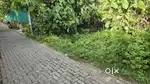 6 cent House plot Thrikakkara near judge mukku 13.5 Lack per cent