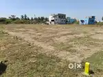 Chengai Plots for Sales
