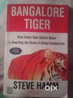 Bangalore Tiger