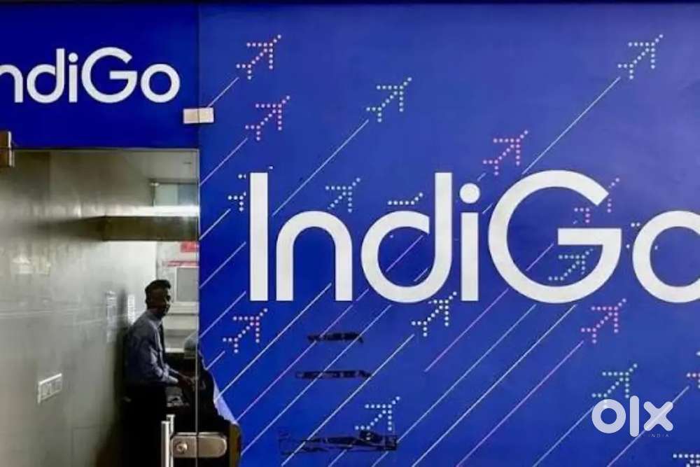 Ground Staff jobs in indigo Airlines urgent hiring Apply Fast