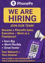 Become a PhonePe Sales Executive - Work as a Freelancer!