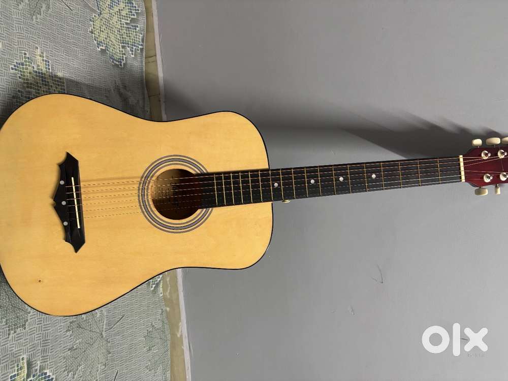 Brand New Guitar