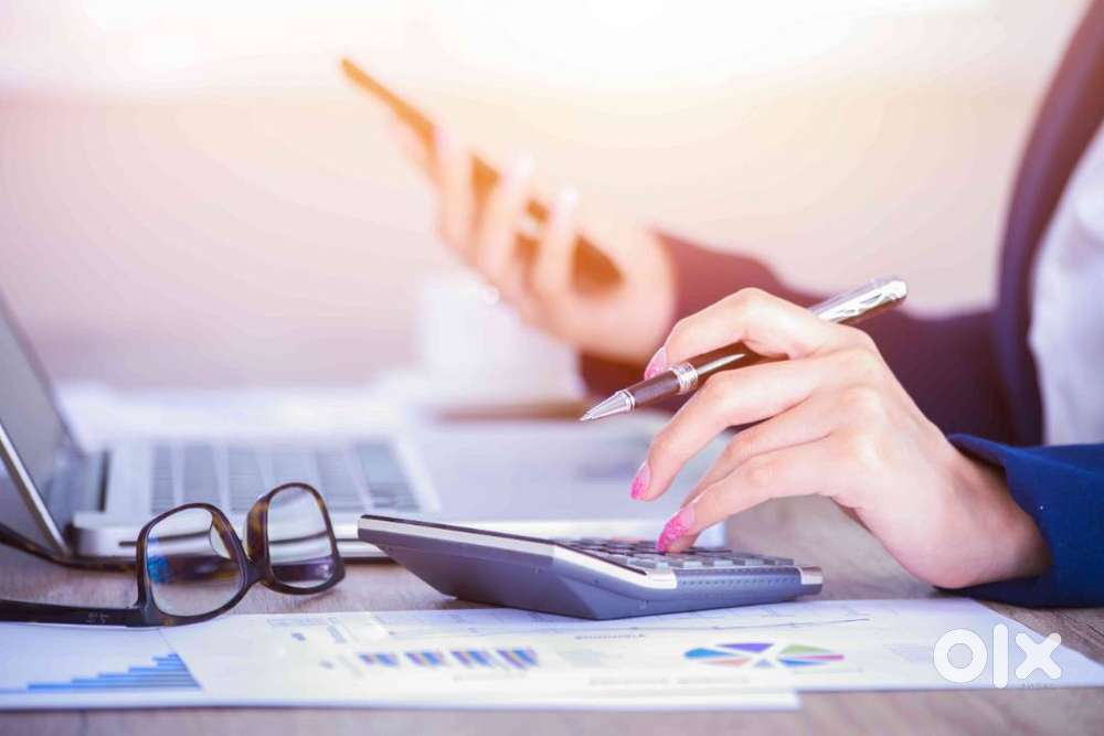 Junior Accountant