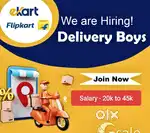 Delivery boy job
