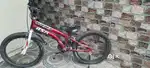 2 yrs old cycle