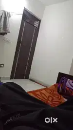 Need a girl for living