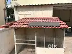 Heavy still Dog Cage