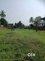 Aluva munnar NH Road Front 34cent commercial  plot for sale