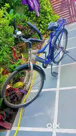 Cycle for sale
