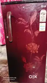 LG single door fridge 190L