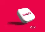 Zomato delivery job flexible hour's