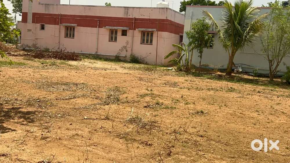 ஆன் ரோடு plot ராயல் பாலிடெக்னிக் காலேஜ் எதிரில்