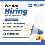 BUSINESS DEVELOPMENT EXECUTIVE
