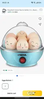 Egg boiler