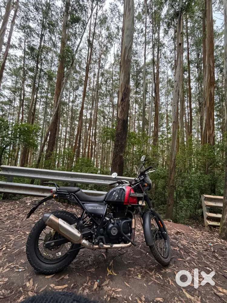 Good condition and no scratches