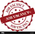 Junior Accounts Executive