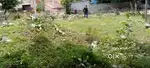 Kvr  bank nagar