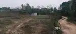 36 cents  house plot for sale in Kakkayur, Koduvayur, Palakkad