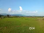 Sapra gamharia registered plot 3.5 katha