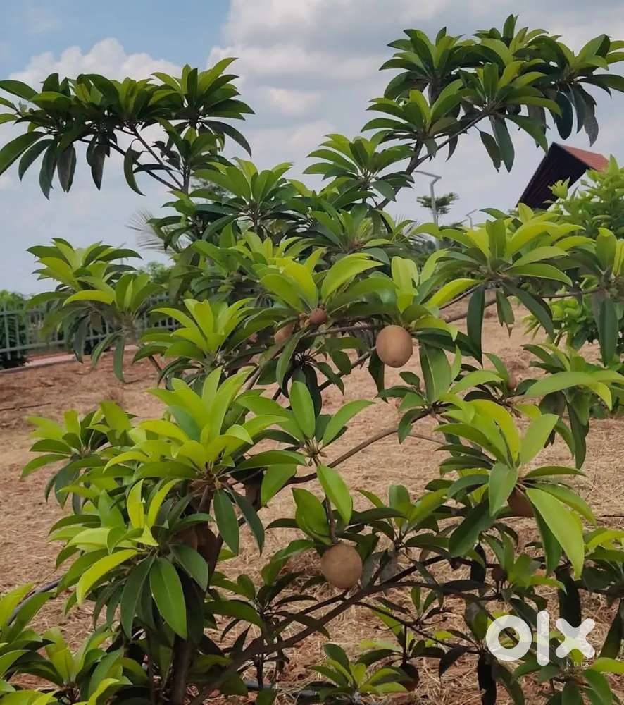 New Farmland Project Launching