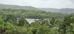 Titled clear agricultural land for sale
