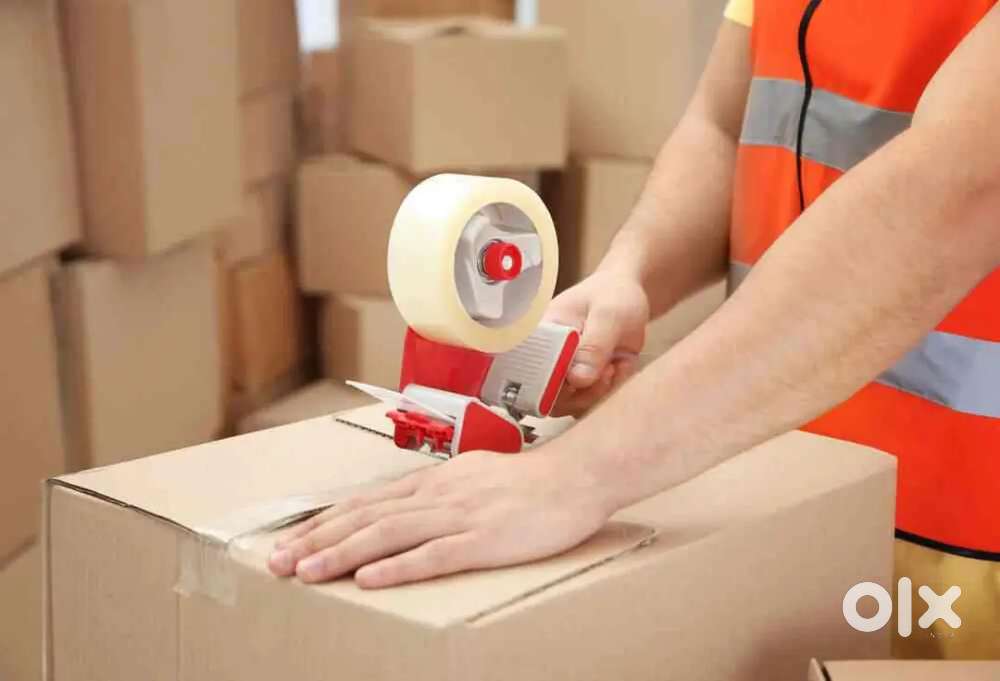 Packing scaner job werhouse