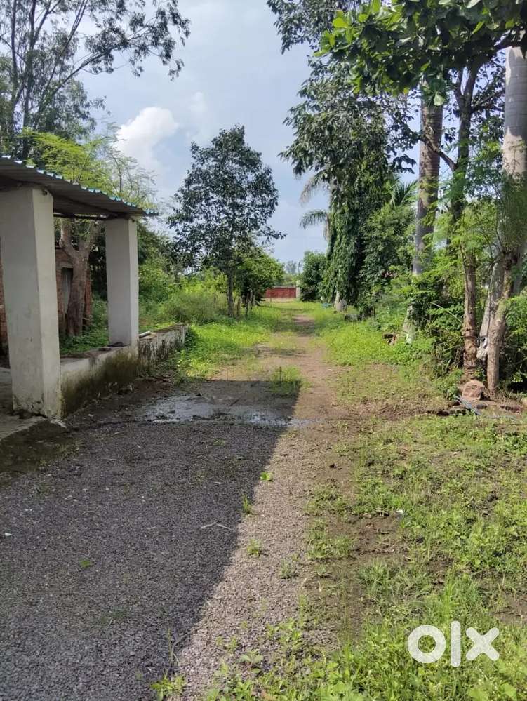 Land available on rent.