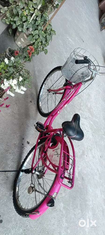 BSA lady Bird