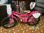 Sungold bicycle for girls