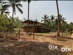 House plot with lush tree cover-A private paradise