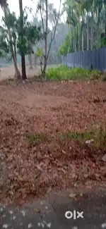ഇരിങ്ങാലക്കുട കൂടൽമാണിക്യം ക്ഷേത്രത്തിന് തൊട്ടടുത്ത് 8.5 സെന്റ്