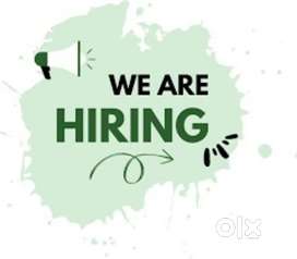 Need 1 experience senior accountant for govt project supplier company
