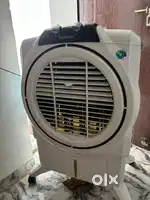 Cooler Brand new condition 75Litters