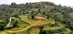 Resort style farm sale