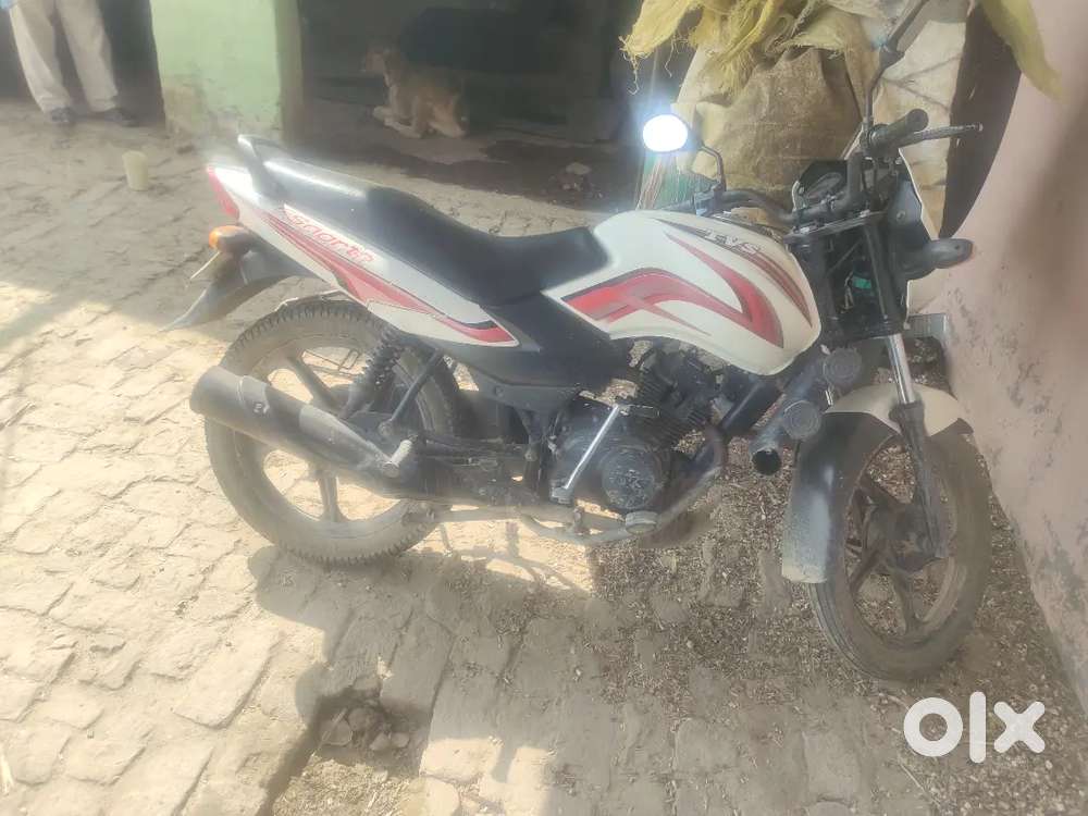 Baddiya chlta