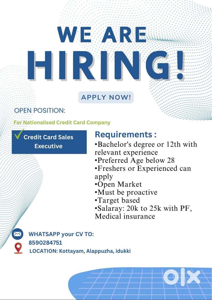 Credit Card Sales Executive