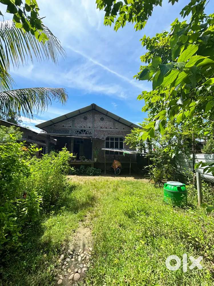 Dhemaji telijan 1 kotha 3 losa , Main highway distance 300m under