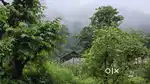 Male/Female COOK for Resort in Tapovan, Rishikesh